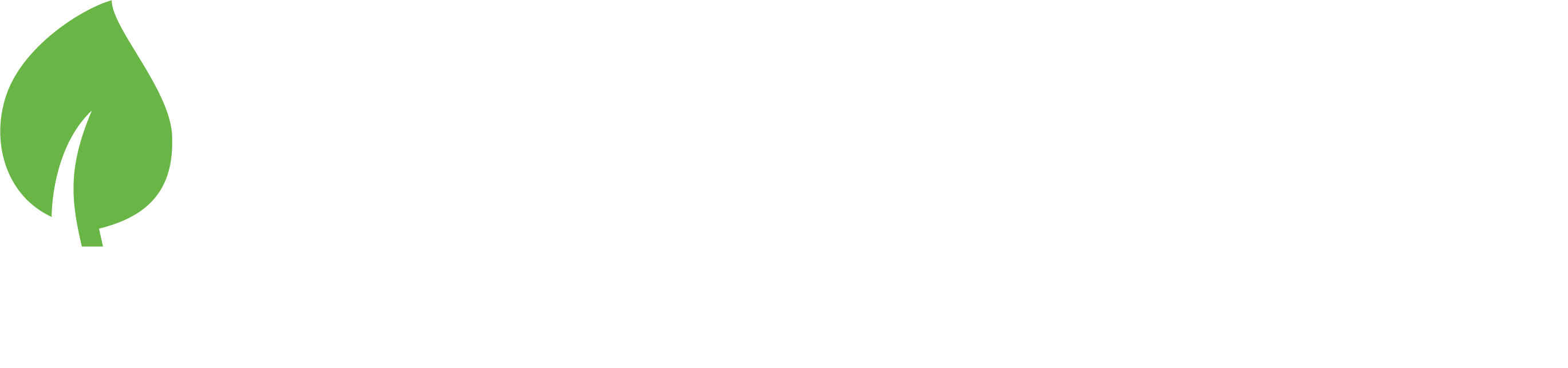 Great Value Capital Logo